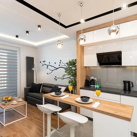 Comfort, Prestige, Location Romanowicza 1 Apartment *