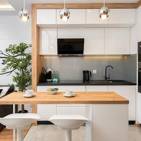 Comfort, Prestige, Location Romanowicza 1 Apartment Krakow
