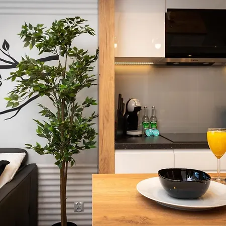 Appartamento Comfort, Prestige, Location Romanowicza 1 Cracovia